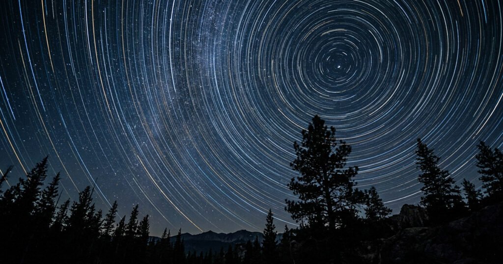 A long-exposure photograph of the night sky over a silhouetted pine ridge. The stars have drawn concentric arcs around the celestial pole, so the whole span of the exposure appears at once as a fixed pattern while the landscape stays still and sharp.