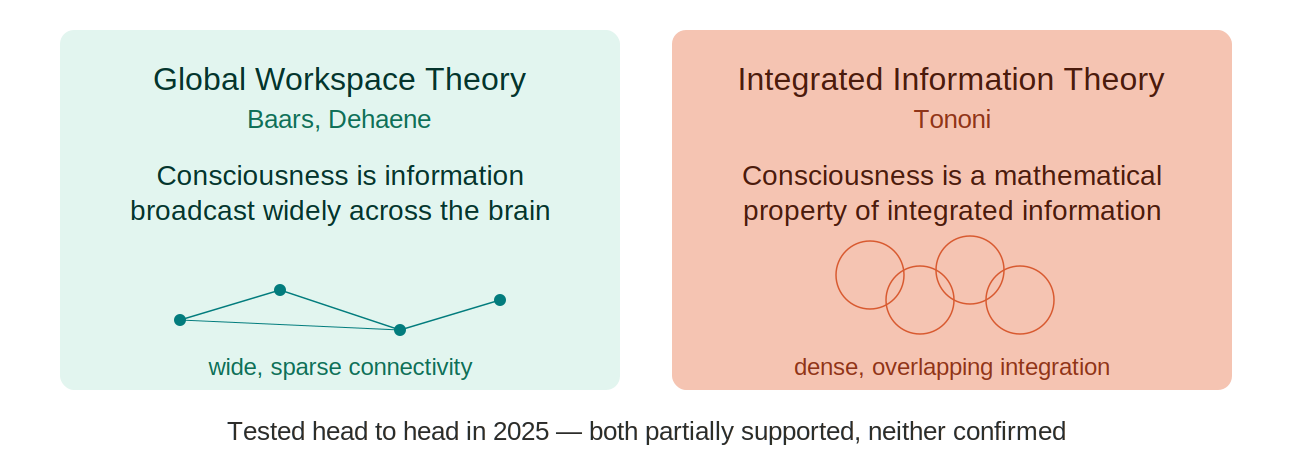 Two panels compared. Global Workspace Theory (Baars, Dehaene): consciousness is information broadcast widely across the brain — shown as wide, sparse connectivity. Integrated Information Theory (Tononi): consciousness is a mathematical property of integrated information — shown as dense, overlapping circles. Tested head to head in 2025; both partially supported, neither confirmed.
